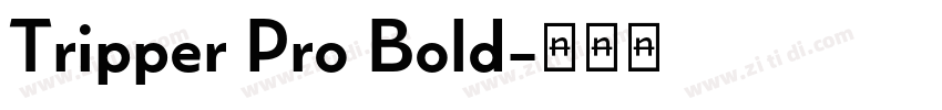 Tripper Pro Bold字体转换